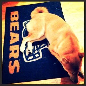 Meet your Posher, Hamza